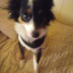 Meet your Posher, Jill